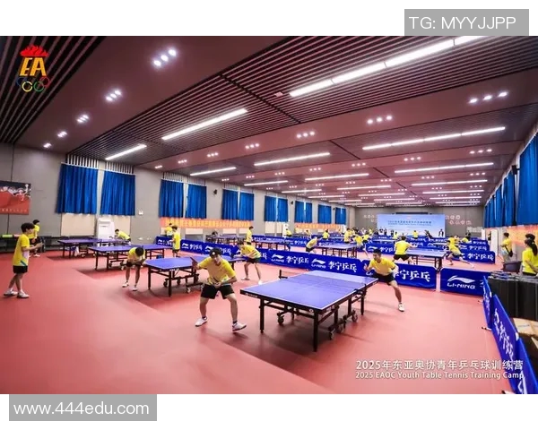 乒乓球的魅力与精神:深入了解杭州乒乓球队的训练与文化 乒乓球的魅力与精神:深入了解杭州乒乓球队的训练与文化