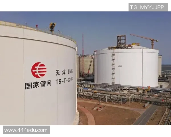 冠军杯特别报道：LNG逆袭之路的辉煌与挑战全景回顾
